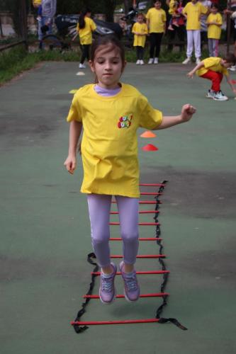 IMG 3732